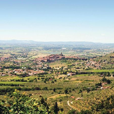 Il Marinocchio Di Malatesti Арецо Екстериор снимка